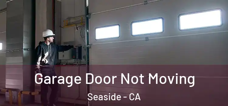  Garage Door Not Moving Seaside - CA